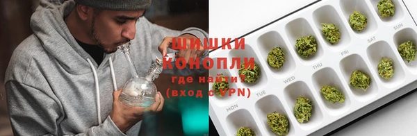 дурь Богданович
