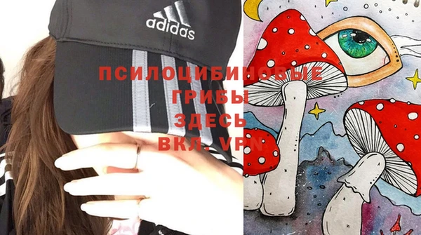а пвп мука Богородицк