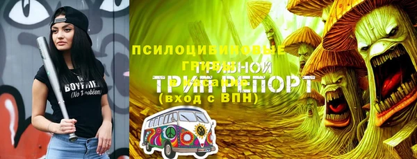 дурь Богданович
