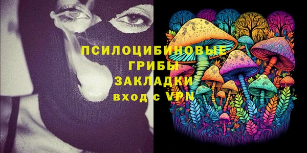 дурь Богданович